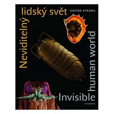 Neviditelný lidský svět