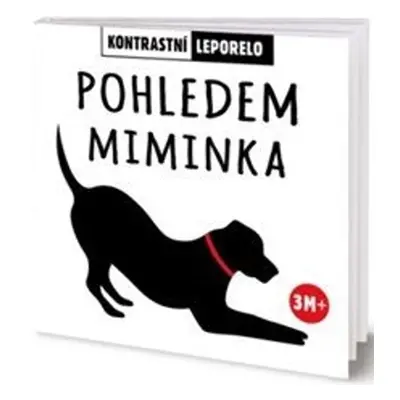 Pohledem miminka