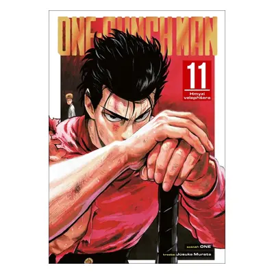 One-Punch Man 11