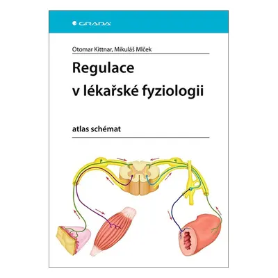 Regulace v lékařské fyziologii