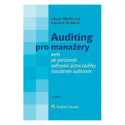 Auditing pro manažery