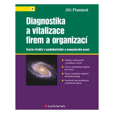 Diagnostika a vitalizace firem a organizací