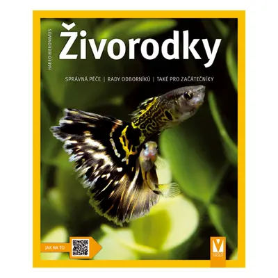 Živorodky