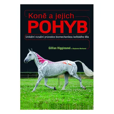 Koně a jejich pohyb