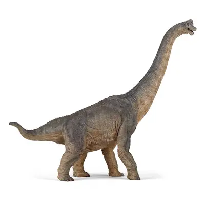 Brachiosaurus