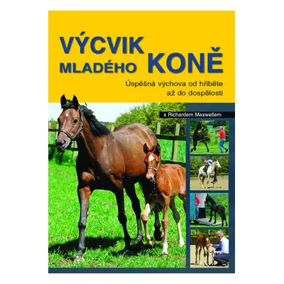 Výcvik mladého koně