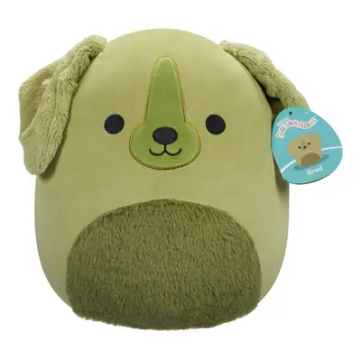 Squishmallows Retrívr Brad