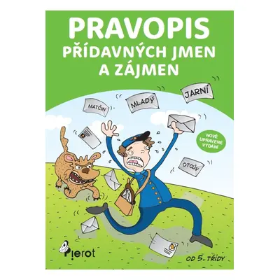 Pravopis Přídavných jmen a zájmen