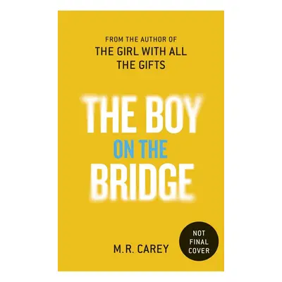 The Boy on the Bridge