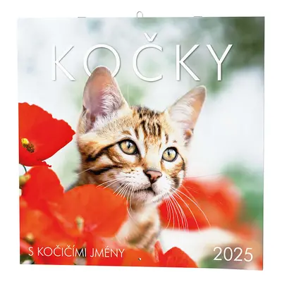 Kočky 2025 - nástěnný kalendář