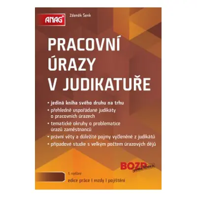 Pracovní úrazy v judikatuře