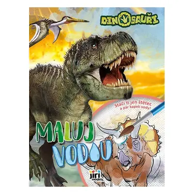 Maluj vodou Dinosauři