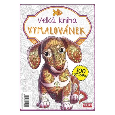 Velká kniha Vymalovánek (fuchsiová)