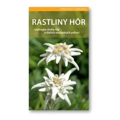 Rastliny hôr