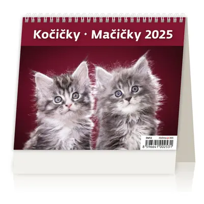 Kočičky 2025 - stolní kalendář