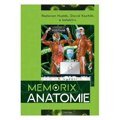 Memorix anatomie