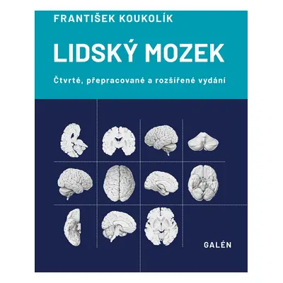 Lidský mozek