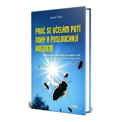 Proč se včelám potí nohy a poslouchají kolenem