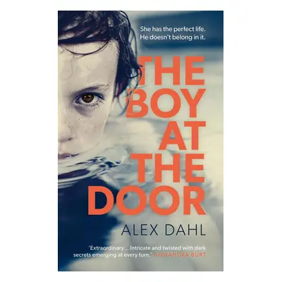 The Boy At The Door