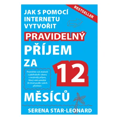 Jak s pomocí internetu vytvořit pravidelný příjem za 12 měsíců