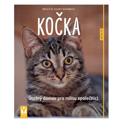 Kočka