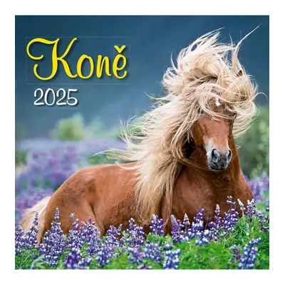 Koně 2025 - nástěnný kalendář