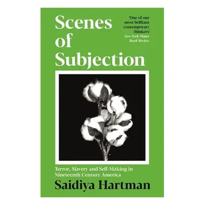 Scenes of Subjection