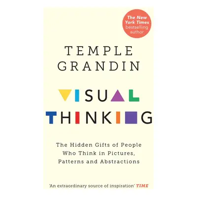 The Visual Thinker