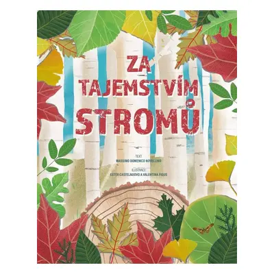 Za tajemstvím stromů