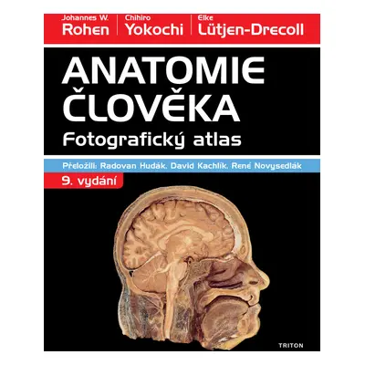 Anatomie člověka