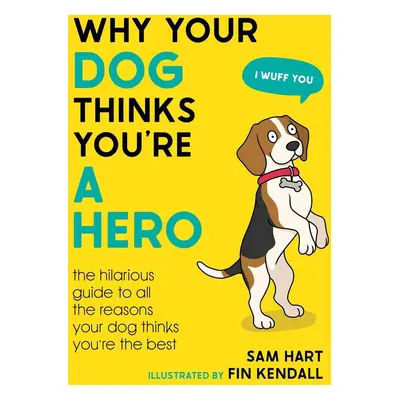 Why Your Dog Thinks You're a Hero