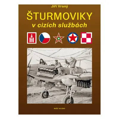 Šturmoviky v cizích službách