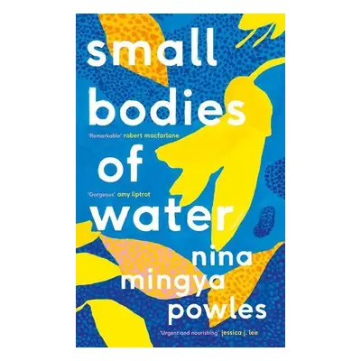 Small Bodies of Water