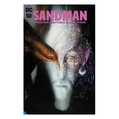 The Sandman: The Deluxe Edition Book Two