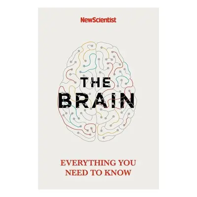 The Brain