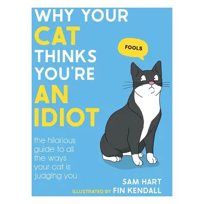 Why Your Cat Thinks You're an Idiot