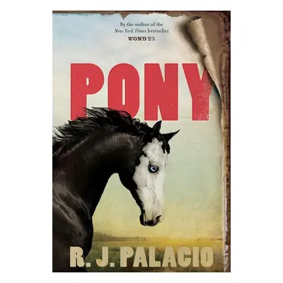 Pony