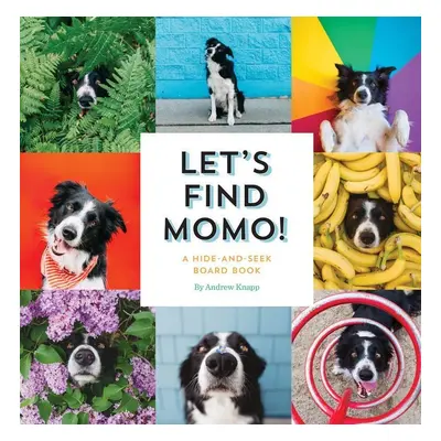 Let's Find Momo!