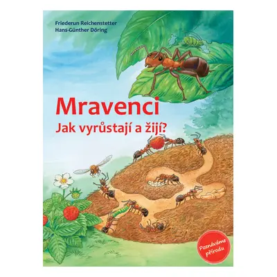 Mravenci