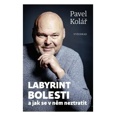 Labyrint bolesti a jak se v něm neztratit