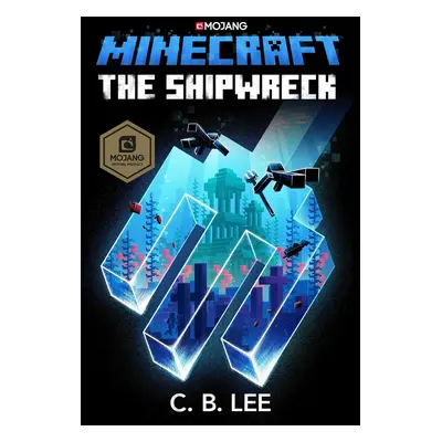 Minecraft: The Shipwreck