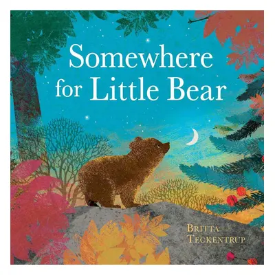 Somewhere for Little Bear