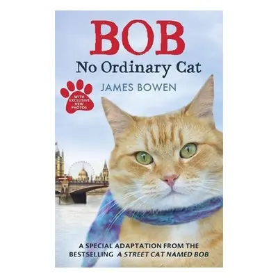 Bob - No Ordinary Cat