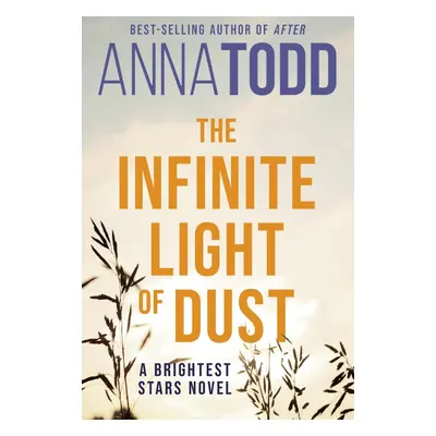 The Infinite Light of Dust