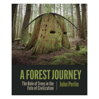 A Forest Journey