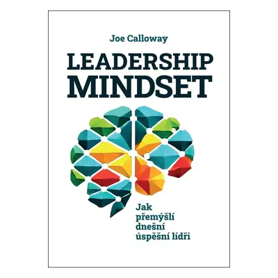 Leadership mindset