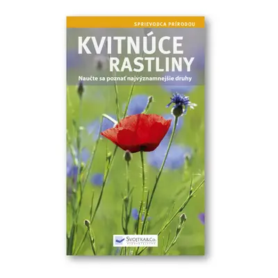 Kvitnúce rastliny