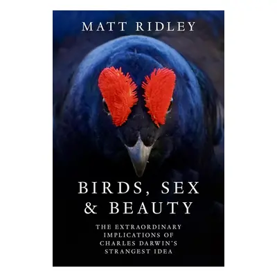 Birds, Sex And Beauty