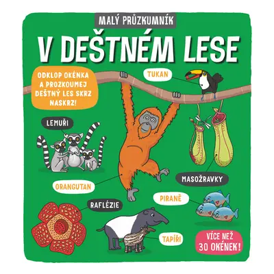 Malý průzkumník V deštném lese