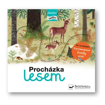 Procházka lesem